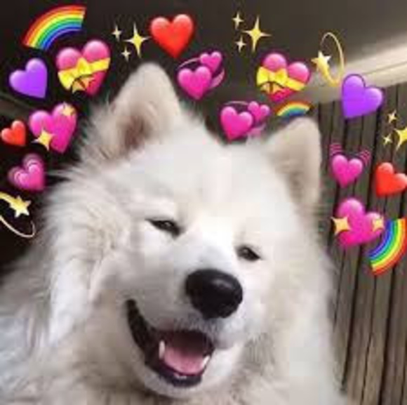 Meet your Posher, Irs - Picture 1 of 1